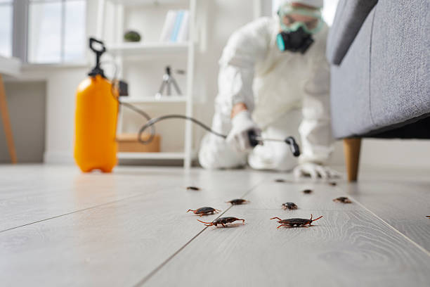 Commercial Kitchen Cockroach Control in Peachtree Corners